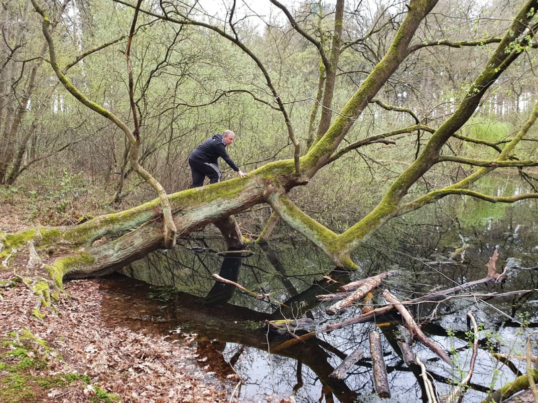 Adventure hunt at The Gathering