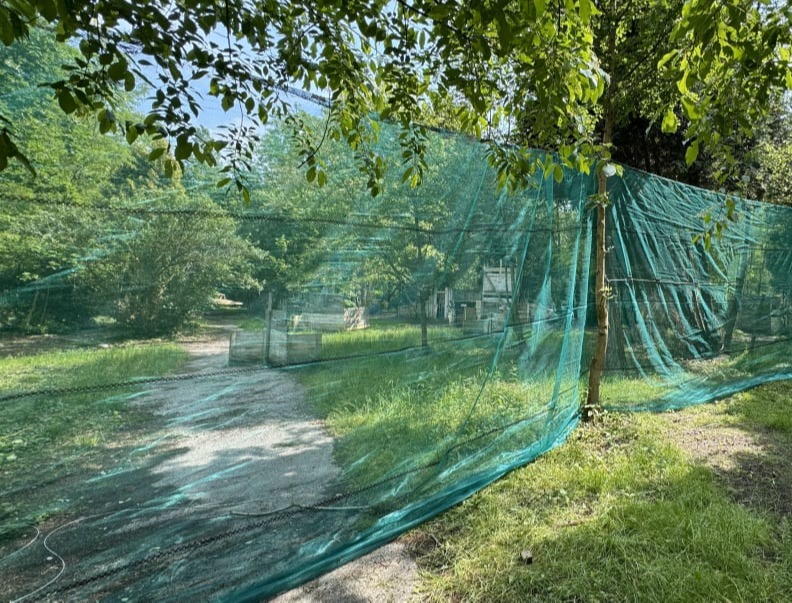 Airsoft bij TheGathering.be